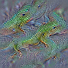 n01693334 green lizard, Lacerta viridis
